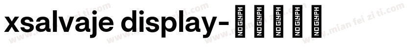 xsalvaje display字体转换